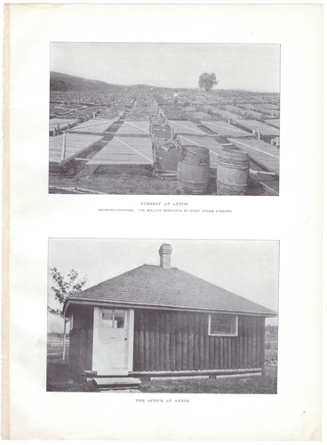 STUDENTS AND LOGGERS IN PERMANENT CAMP...

BOARDING HOUSE AT AXTON